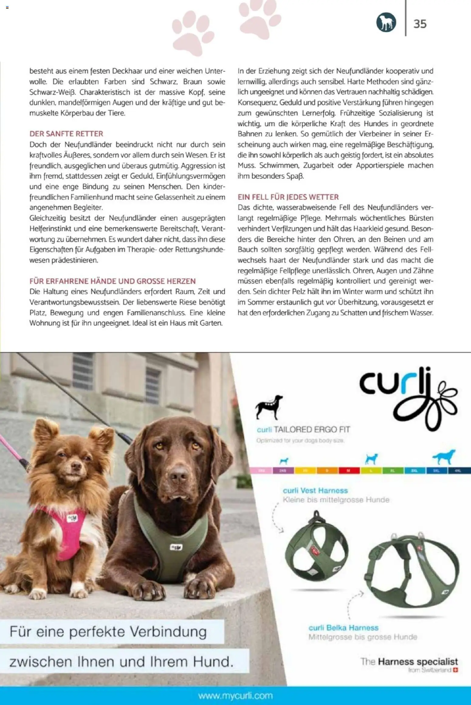 zookauf Heimtier Journal – gültig ab 01.04.2026 | Seite: 35