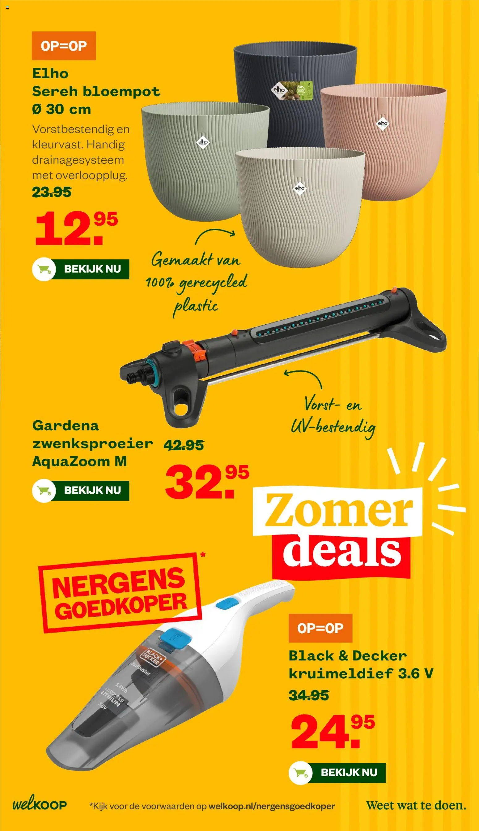 {H1} | Pagina: 6