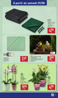 Aldi - Prévisualisation de GARDENLINE®, ORCHIDÉE, PHALAENOPSIS, 2 TIGES, Ø : 12 cm,, hauteur : 40/70 cm,, avec cache-pot céramique. valide à partir de 25/08/2026 | Page: 45 | Produits: Plaid, Cache-pot, Bâche de protection, Polaire