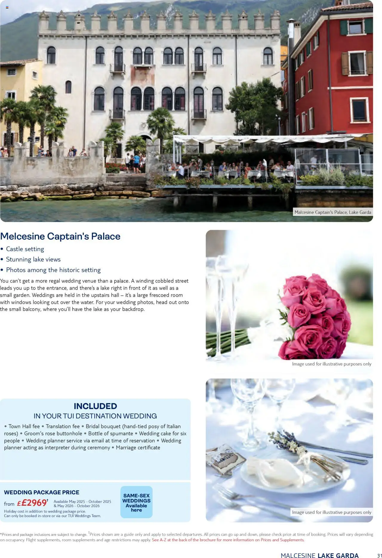 {H1} | Page: 31 | Products: Cake