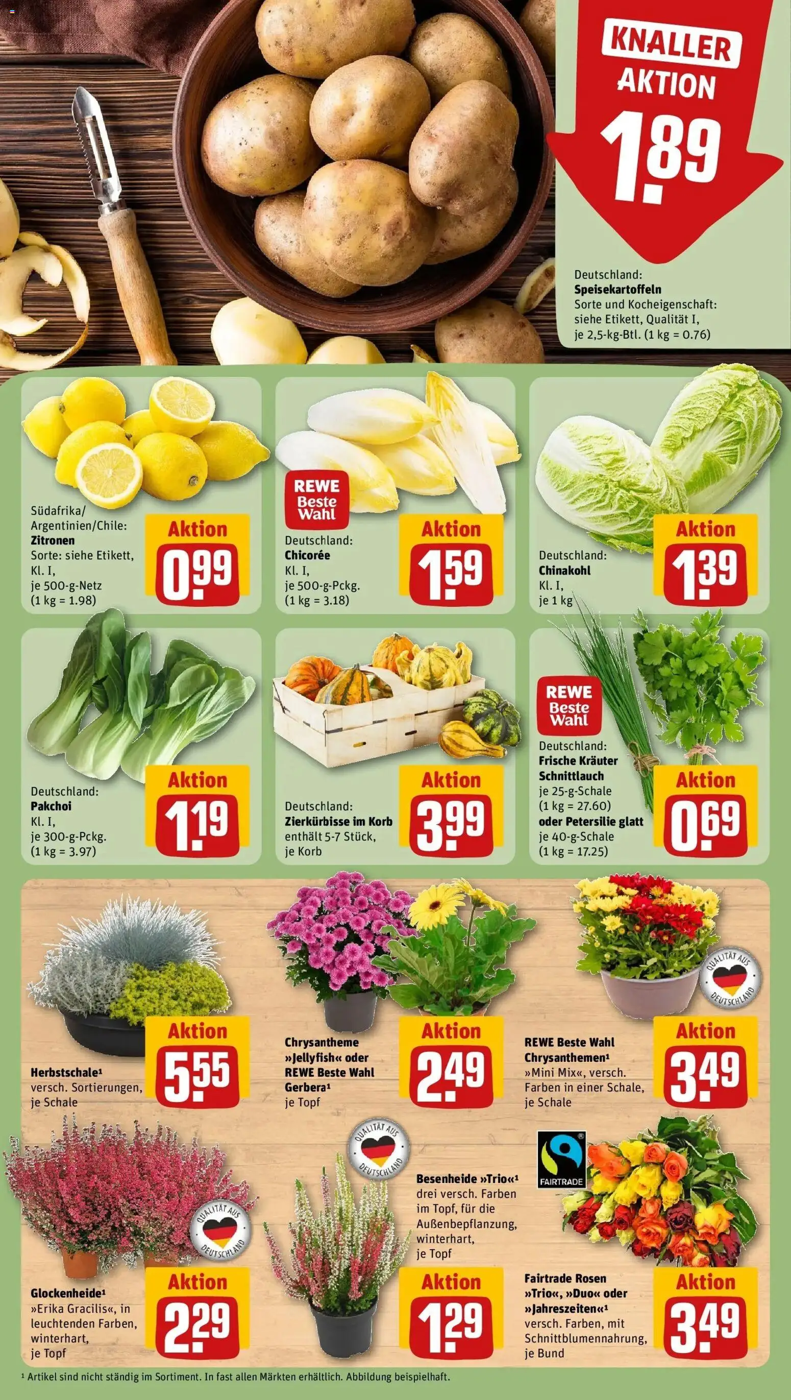 REWE Prospekt ab 21.09.2026 zum Blättern » Angebote | Seite: 13 | Produkte: Korb, Chinakohl, Petersilie, Zitronen