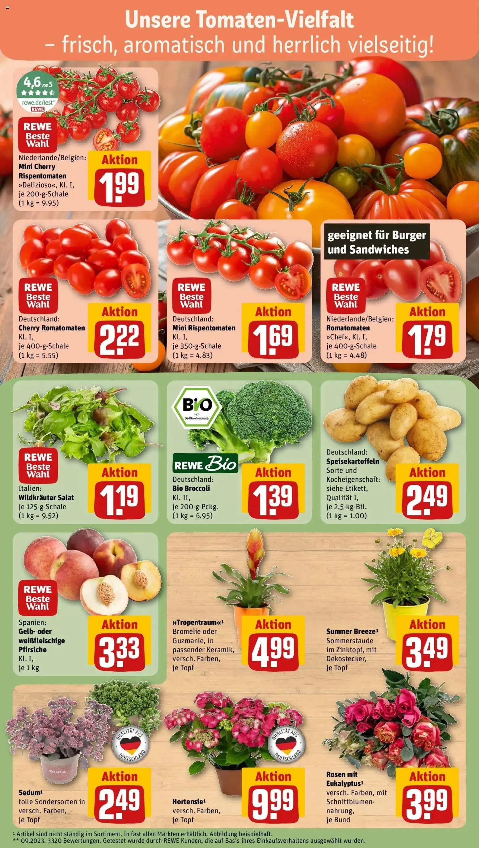 Rewe Prospekt Rüsselsheim – gültig ab 13.07.2026 | Seite: 7 | Produkte: Burger, Salat