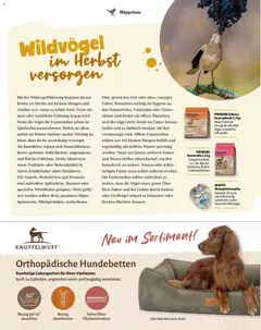 Fressnapf Friends Magazin ab 01.09.2026 gültig | Seite: 7 | Produkte: Bett, Rosinen, Wasser