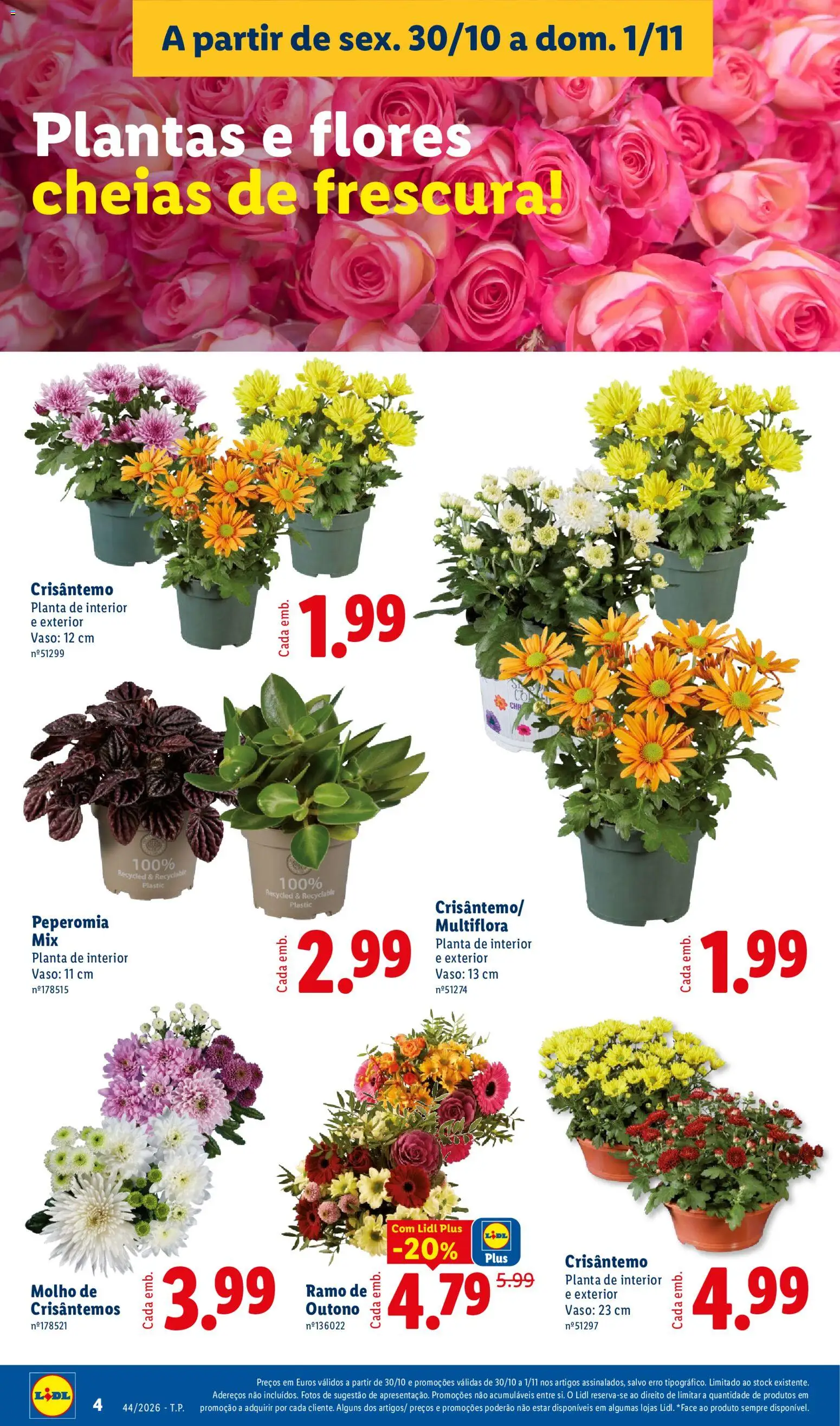 Lidl Promoções Fim de Semana │ válido de 30/10/2026 | Página: 4 | Produtos: Flores, Vaso