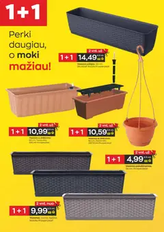 Jupoja leidinys galioja nuo 21.05.2026 | Puslapis: 17 | Prekių: Vazonas