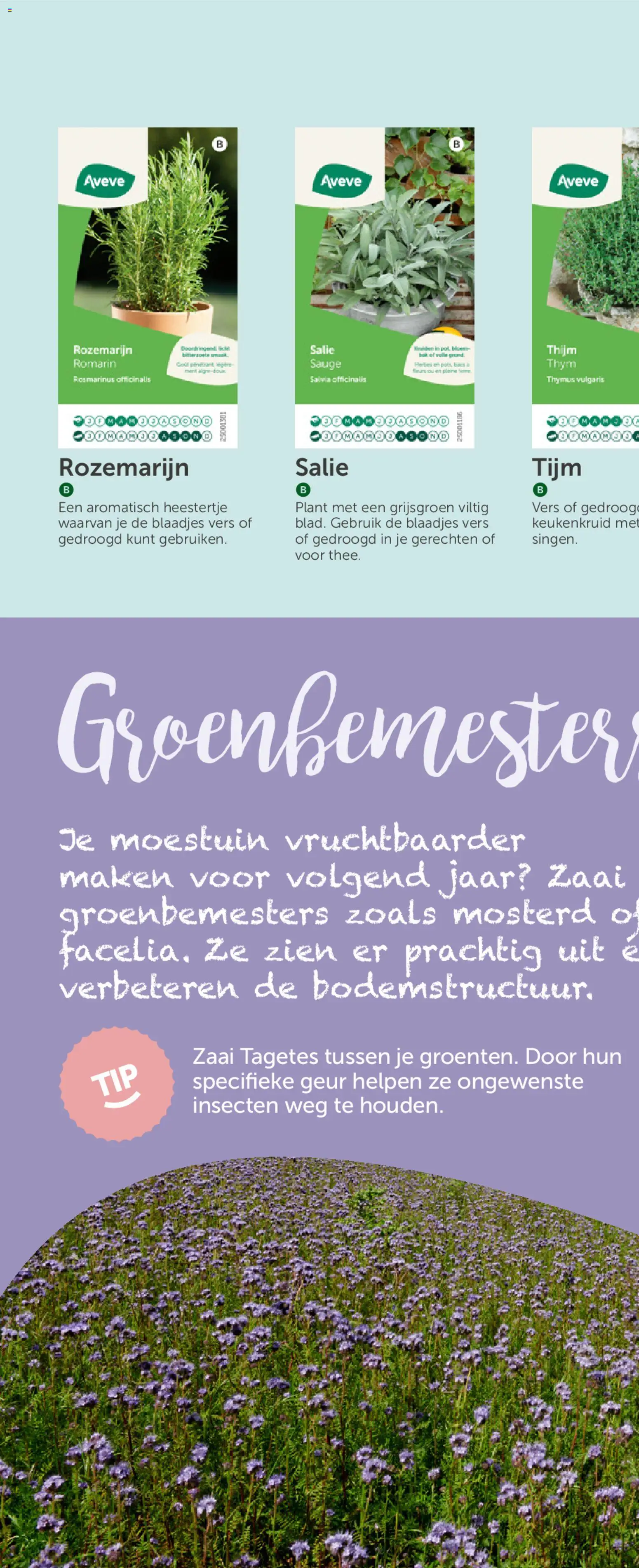 {H1} | Pagina: 48 | Producten: Gyors rizs, Geur