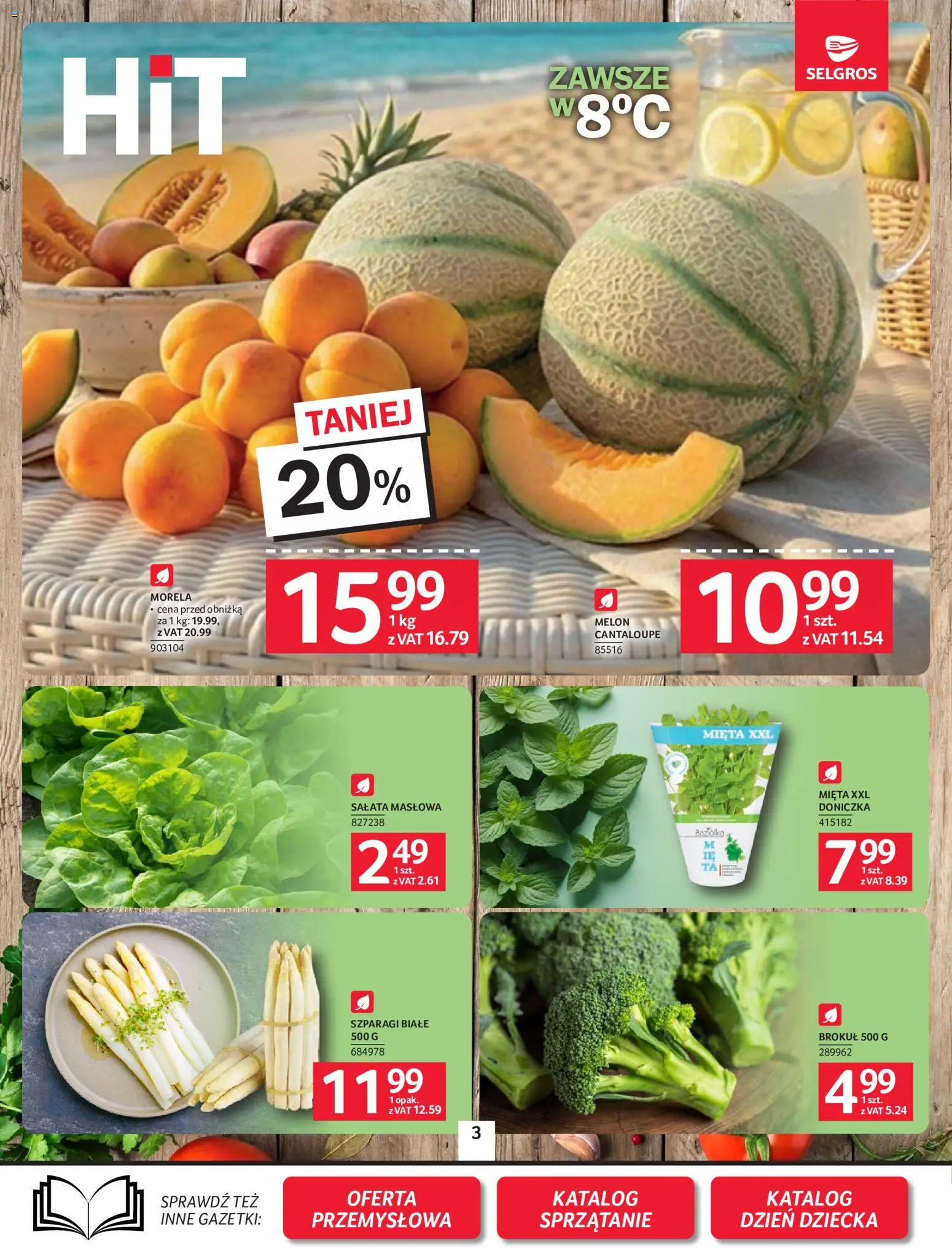 Selgros cash&carry gazetka od 21.05.2026 | Strona: 3 | Produkty: Melon, Brokuł, Mięta, Szparagi