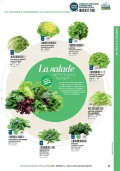 METRO - Prévisualisation de METRO - Restauration rapide valide à partir de 24/04/2025 | Page: 37 | Produits: Salade, Laitue, Mâche, Roquette