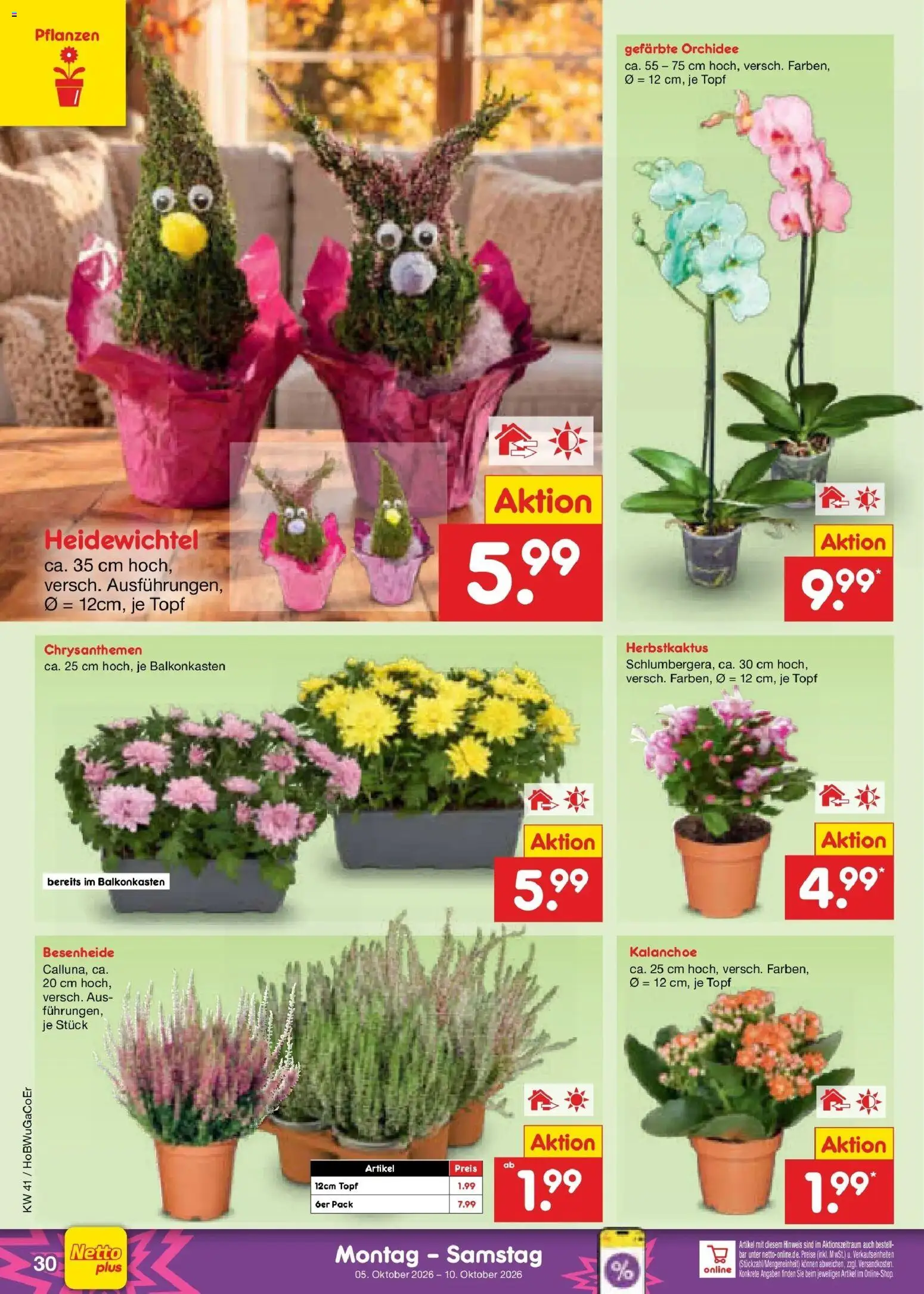 Netto Marken-Discount Prospekt Hannover – gültig ab 05.10.2026 | Seite: 38 | Produkte: Orchidee