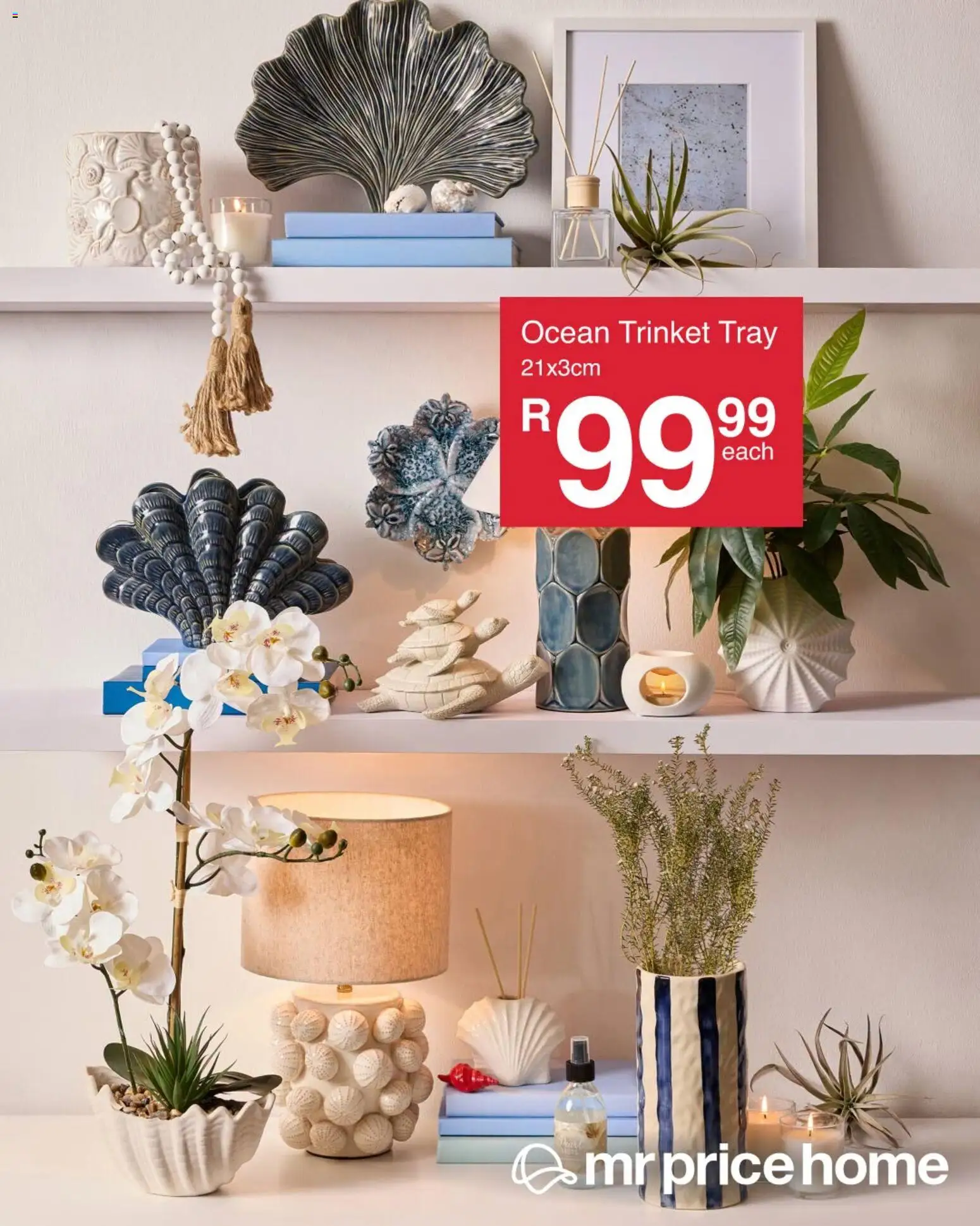 New MRP Home catalogue – valid from 24/08/2026 | Page: 3 | Products: Tray