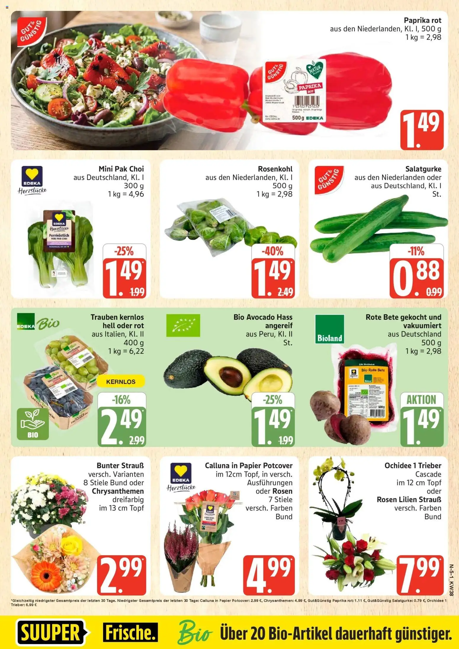Edeka Prospekt Rostock (ab 14.09.2026) » Angebote Online | Seite: 7 | Produkte: Orchidee, Paprika rot, Avocado, Paprika