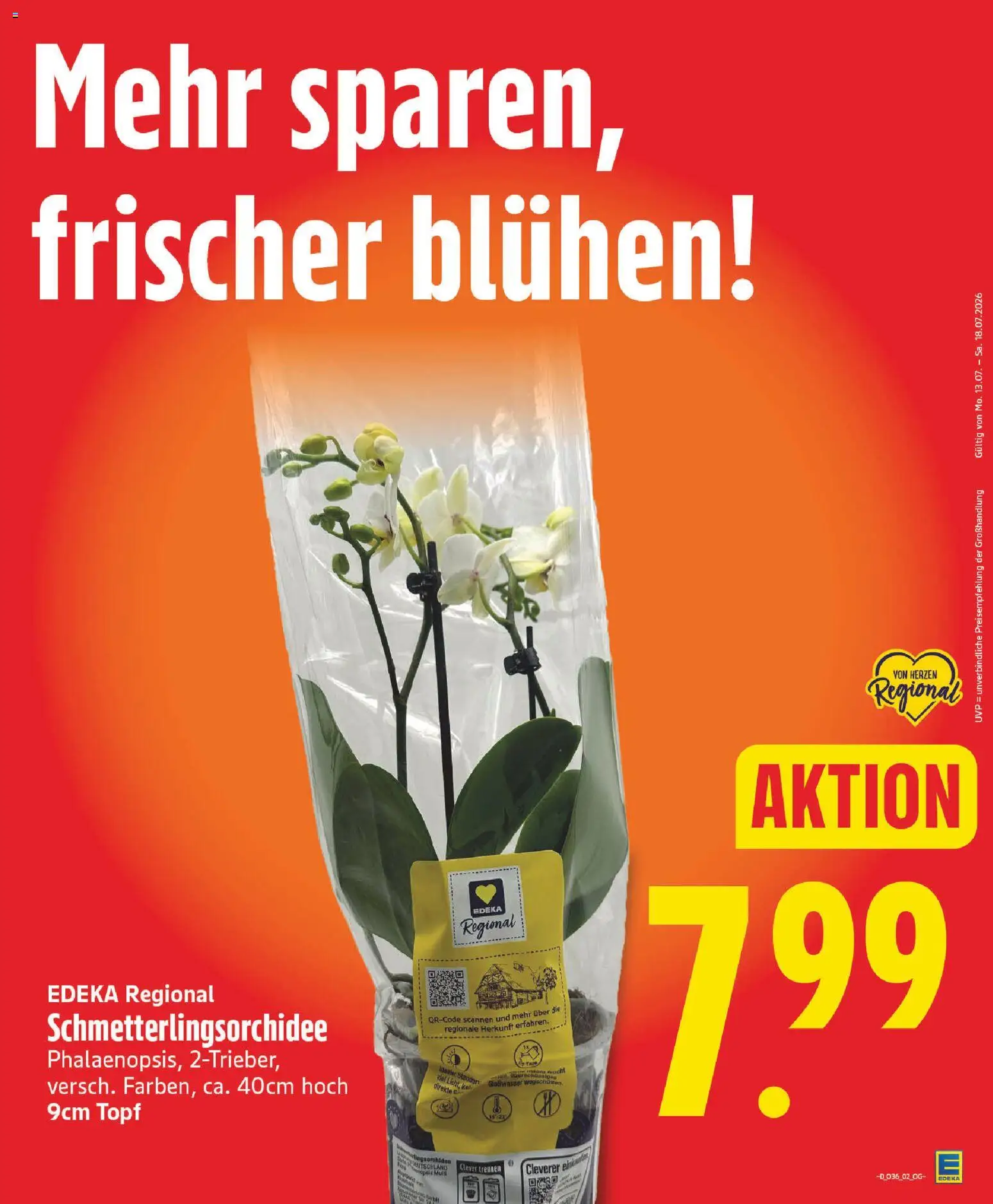 Edeka Prospekt – gültig ab 31.08.2026 | Seite: 5