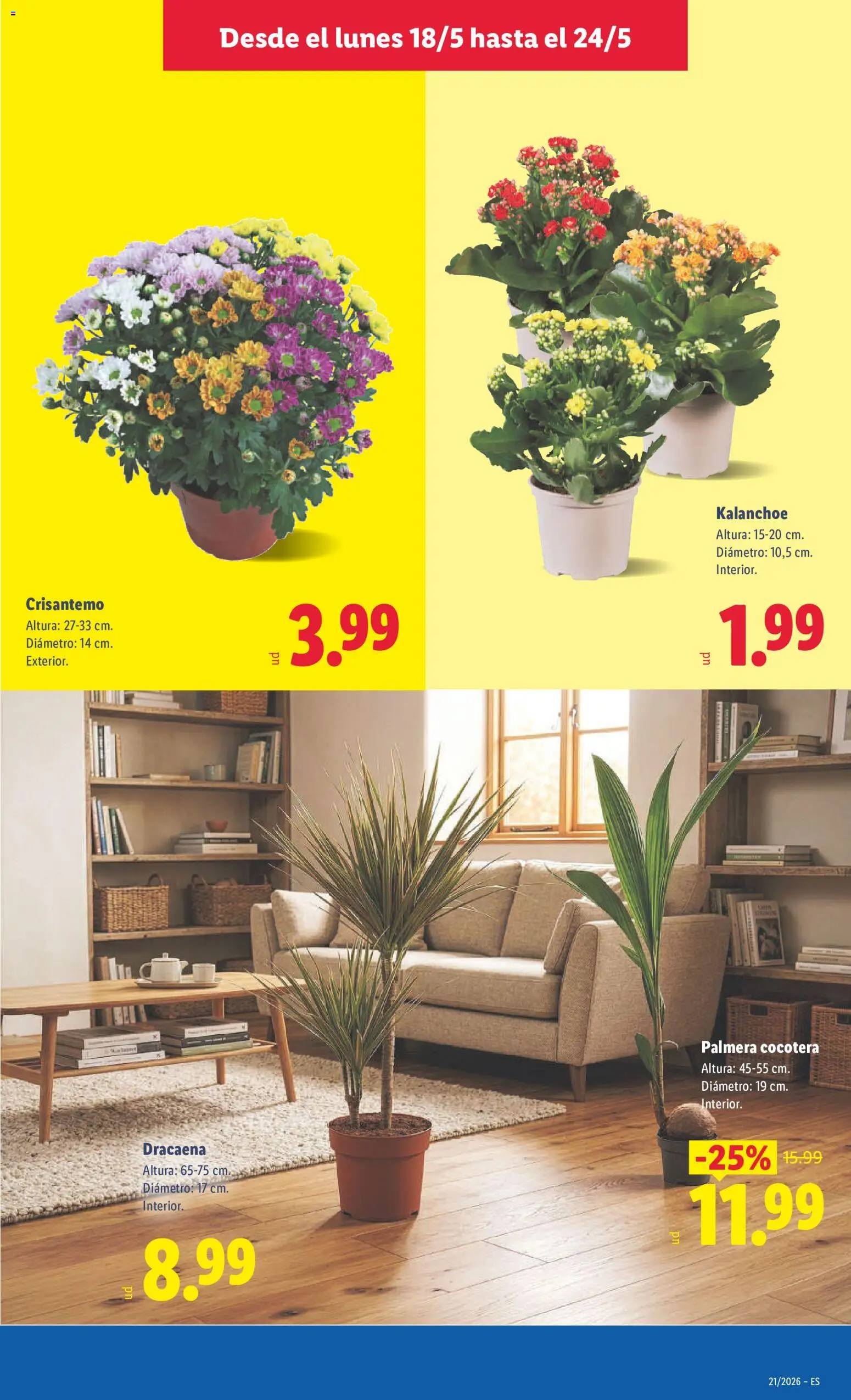 Lidl folleto │ válido desde el 18.05.2026 | Página: 47