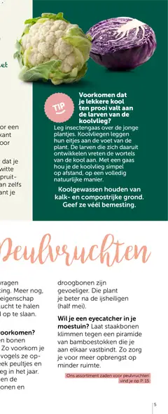 Aveve Groente- en kruidengids - Voorbeeld van een folder van Aveve, geldig van 23.02.2026 | Pagina: 9 | Producten: Kool