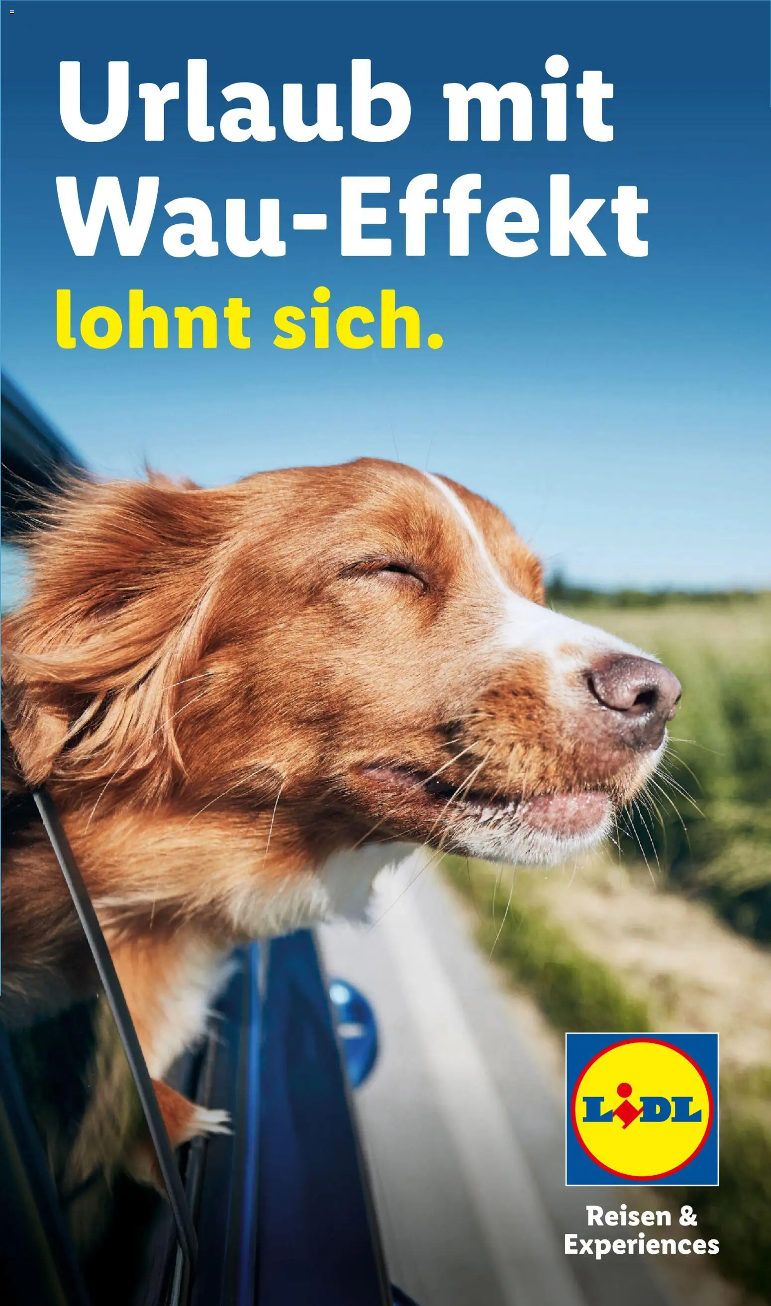 Lidl Reisen Hundeflyer – gültig ab 29.07.2026 | Seite: 1