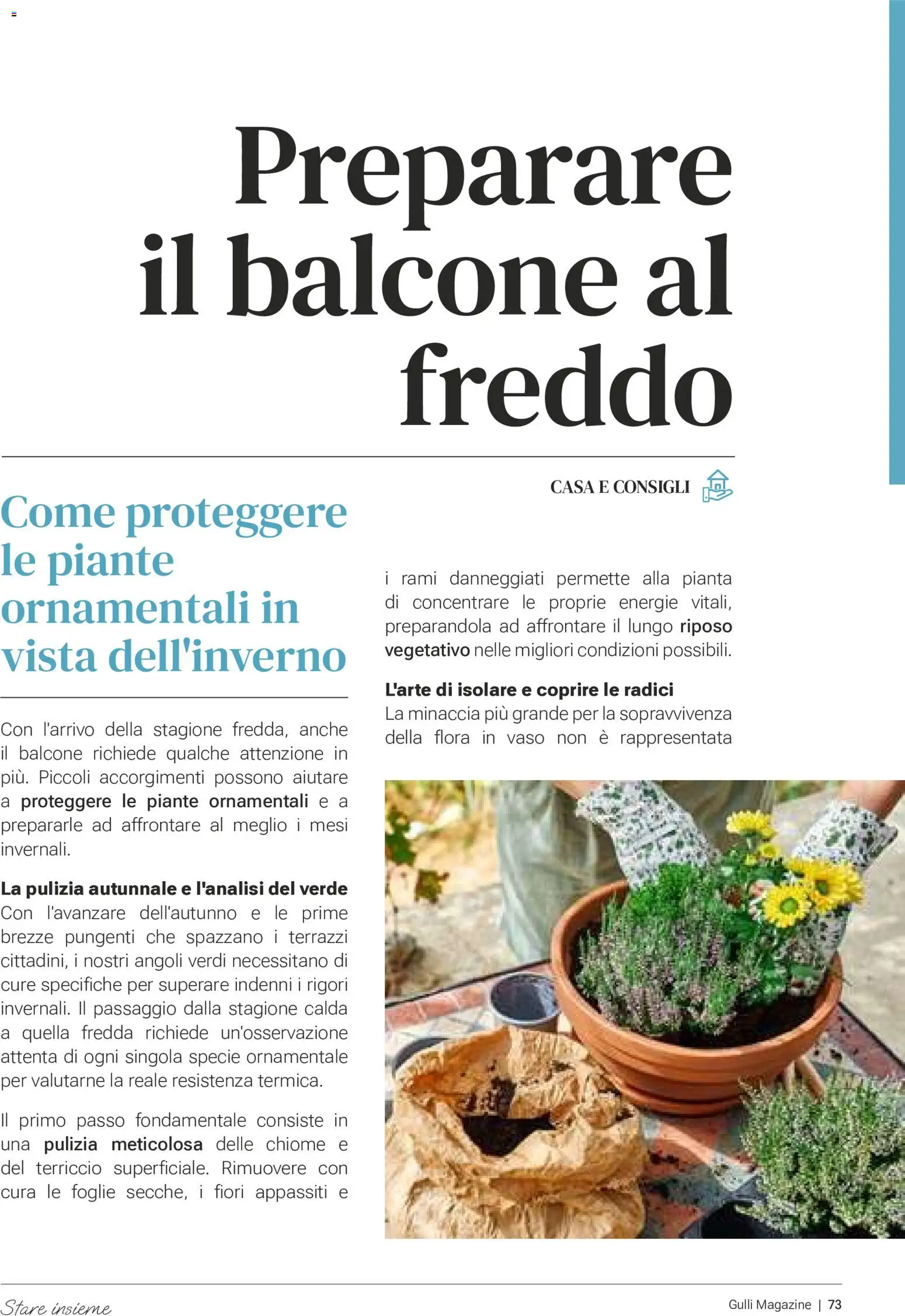 Volantino Gulliver del 01/10/2026 | Pagina: 73 | Prodotti: Fiori, Terriccio, Vaso