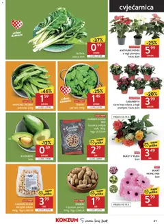 GARDEN GOOD INDIJSKI ORAH, 400g, 1kg=9,98EUR - Pregled kataloga iz trgovine Konzum, vrijedi od 13.05.2026 | Stranica: 21