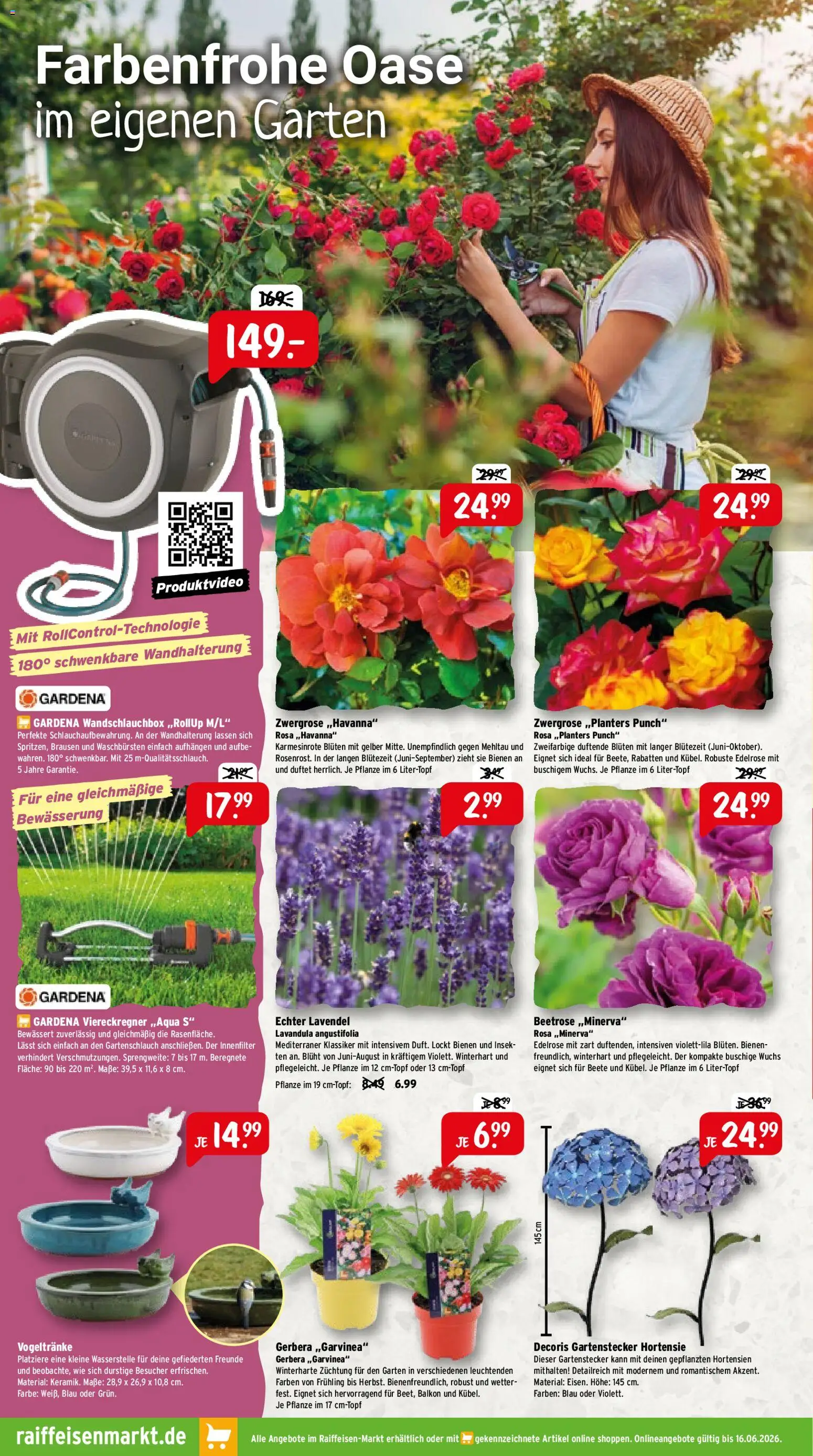 Raiffeisen Markt Prospekt – gültig ab 01.06.2026 | Seite: 2 | Produkte: Hortensie, Lavendel