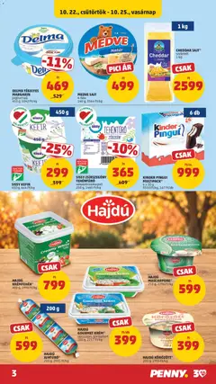 CHEDDAR SAJT* szeletelt, CHEDDAR SAJT* szeletelt 1 kg - amely érvényes a következő dátumtól: 2026.10.22. | Oldal: 3