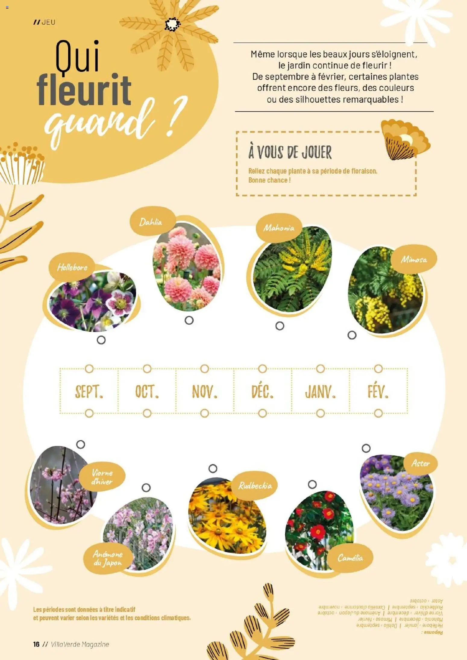 {H1} | Page: 16 | Produits: Camelia, Plantes, Aster, Magazine