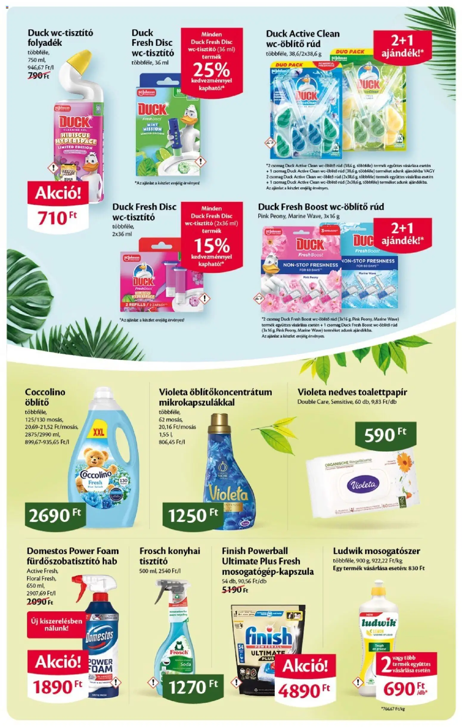 EcoFamily akciós ujság - amely érvényes a következő dátumtól: 04.06.2026 | Oldal: 13