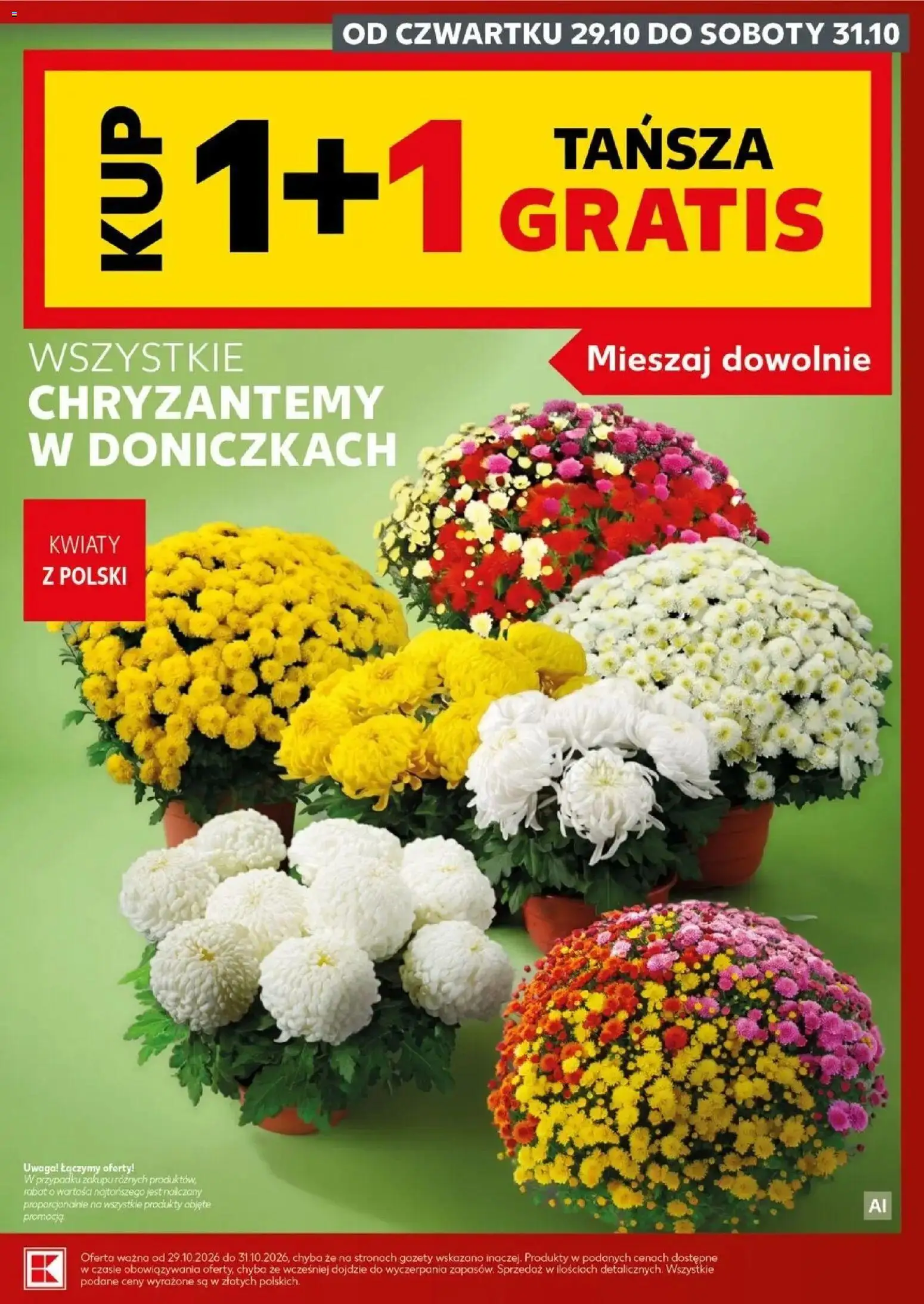Kaufland gazetka - Super sobota od 31.10.2026 - od jutra PDF | Strona: 9 | Produkty: Gazety, Chryzantemy, Kwiaty