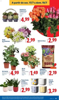 Pré-visualização Lidl folheto válido de 13/07/2026 | Página: 31 | Produtos: Flores, Vaso