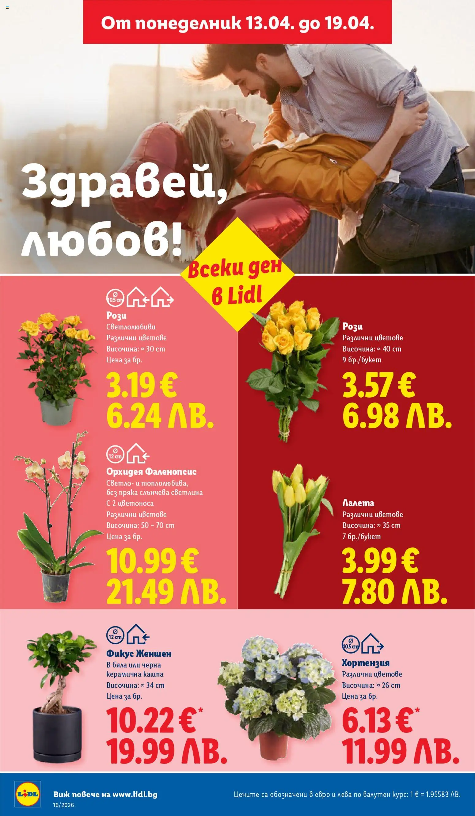 {H1} | Страница: 44 | Продукти: Кашпа, Орхидея