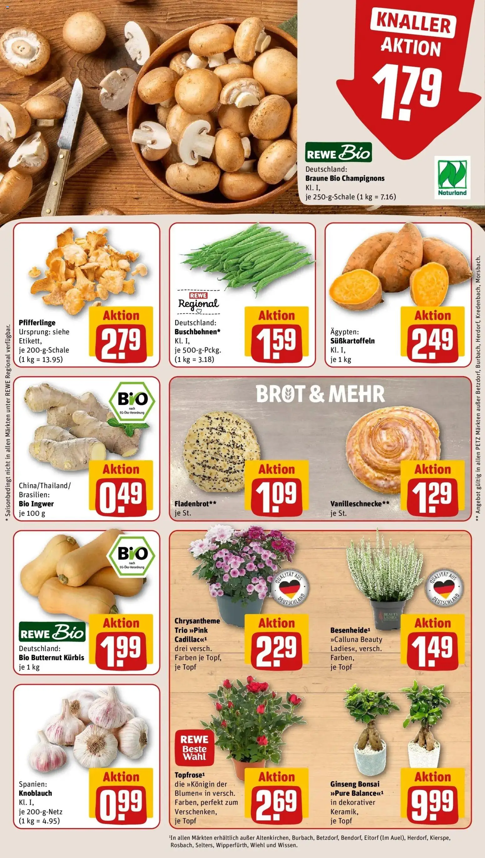 REWE Prospekt ab 31.08.2026 zum Blättern » Angebote | Seite: 9 | Produkte: Blumen, Knoblauch, Pfifferlinge, Kürbis