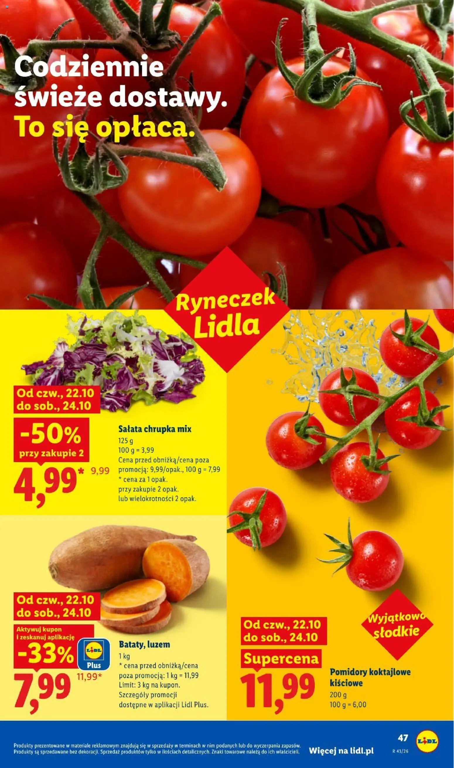 Lidl gazetka od 22.10.2026 | Strona: 49 | Produkty: Sałata, Pomidory