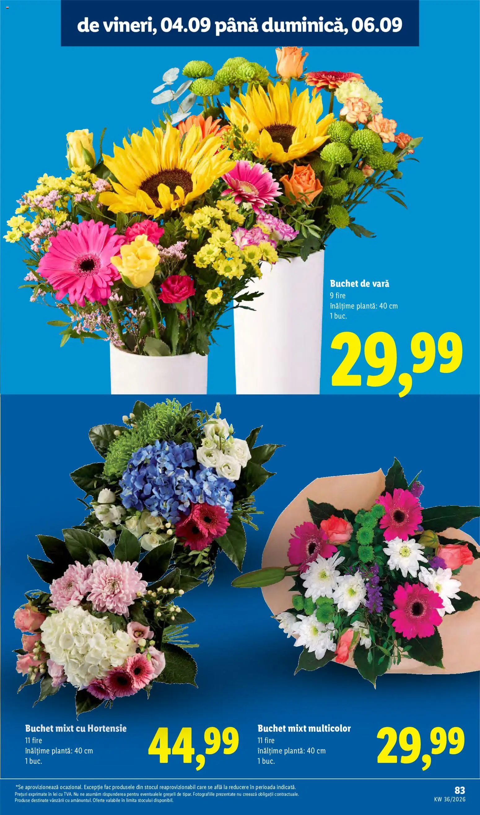 Noul catalog Lidl – valabil de la 31.08.2026 | Pagină: 83