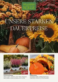Pflanzen-Kölle Aktueller Prospekt ab 01.10.2026 gültig