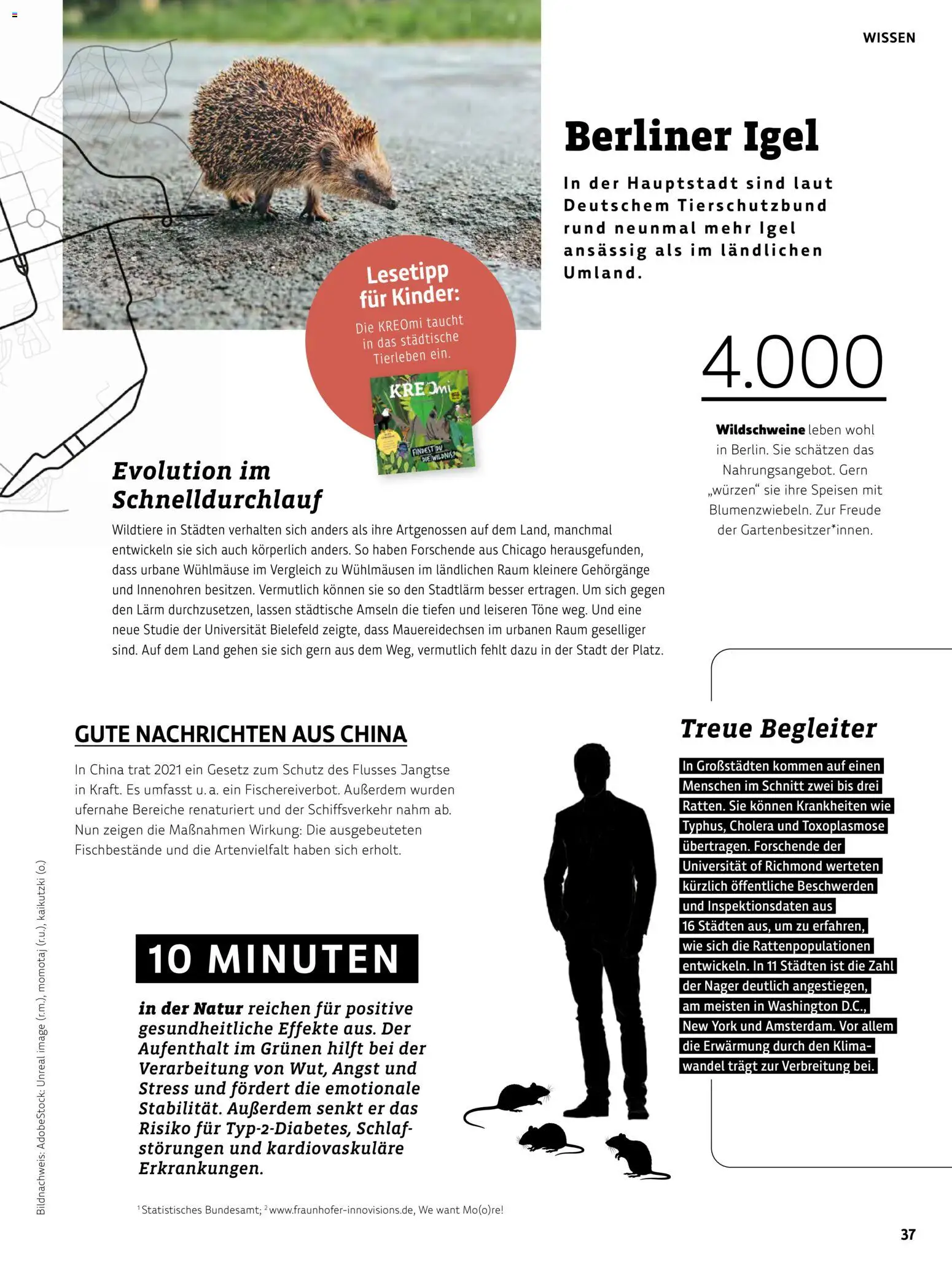 Denns BioMarkt Kreo Magazin – gültig ab 17.07.2026 | Seite: 37 | Produkte: Berliner