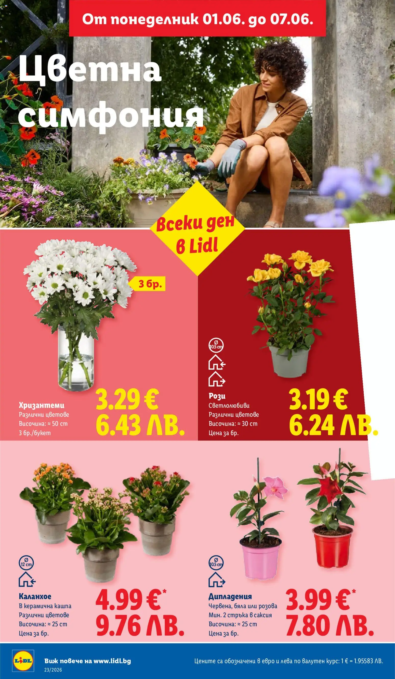 {H1} | Страница: 48 | Продукти: Кашпа, Саксия