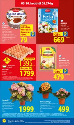 MILBONA Feta sajt, Zsírtartalom: 43%, 200 g - amely érvényes a következő dátumtól: 21.05.2026 | Oldal: 70