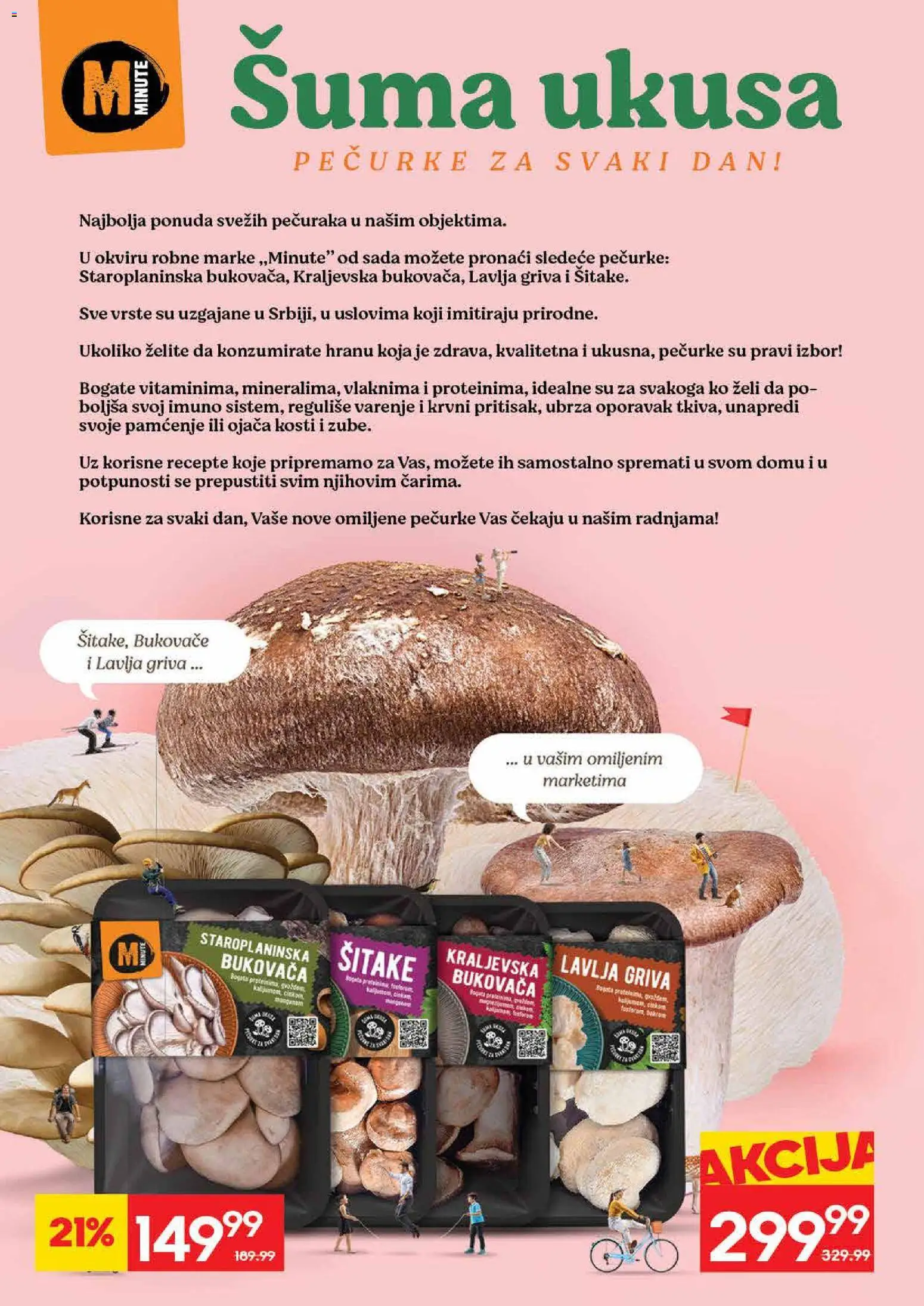 Idea katalog - važi od 14.09.2026 | Strana: 6