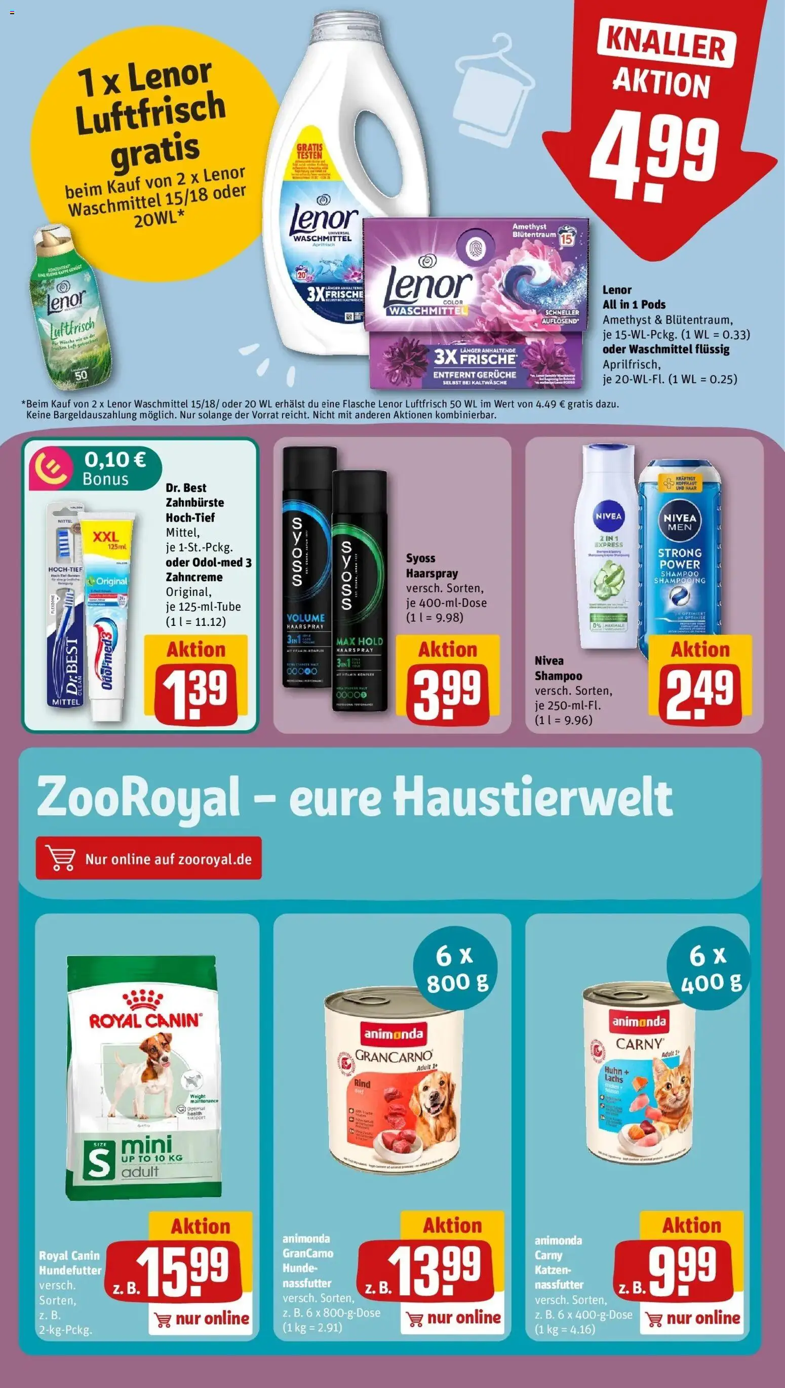REWE Prospekt ab 26.10.2026 zum Blättern » Angebote | Seite: 16 | Produkte: Shampoo, Haarspray, Lachs, Zahnbürste