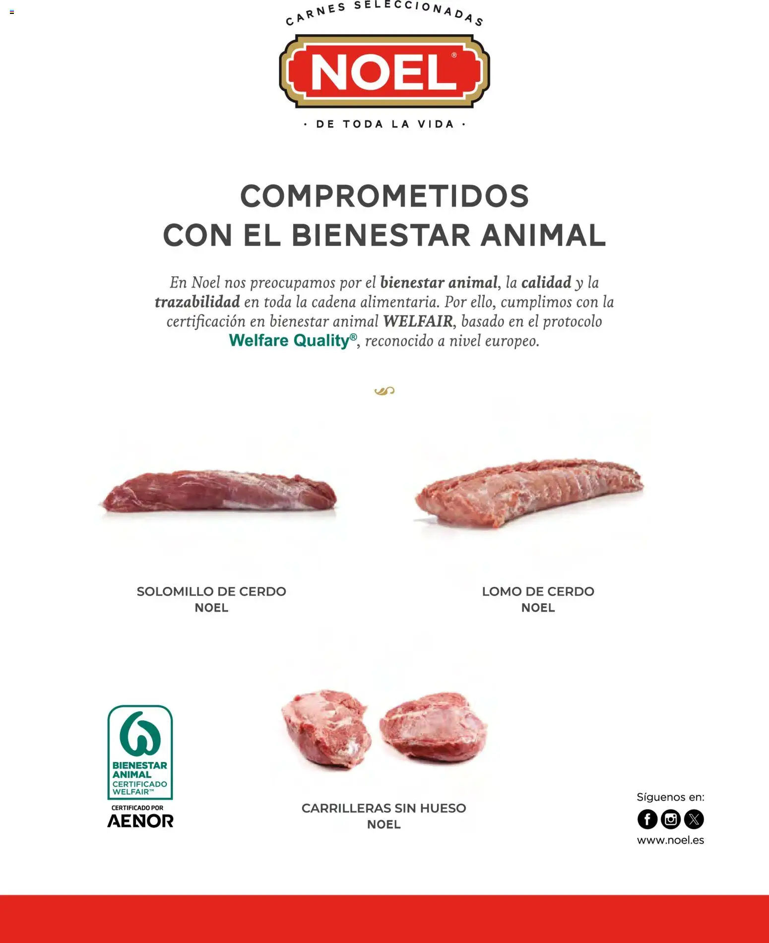 Costco catálogo │ válido desde el 19.03.2026 | Página: 99 | Productos: Solomillo de cerdo, Cerdo