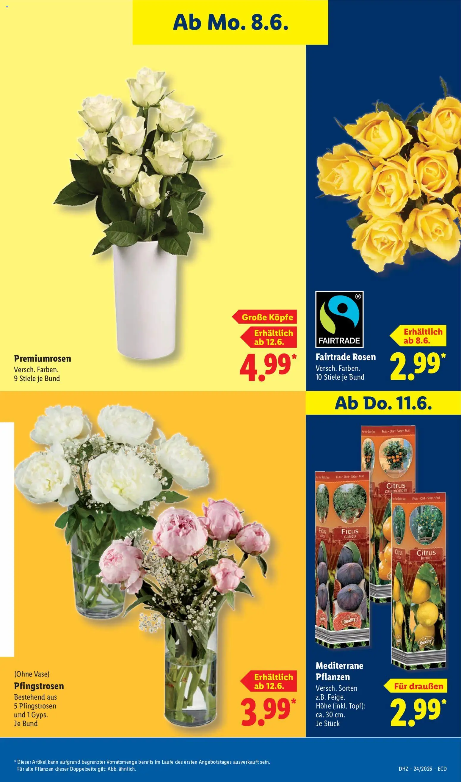 Lidl Prospekt – gültig ab 08.06.2026 | Seite: 69