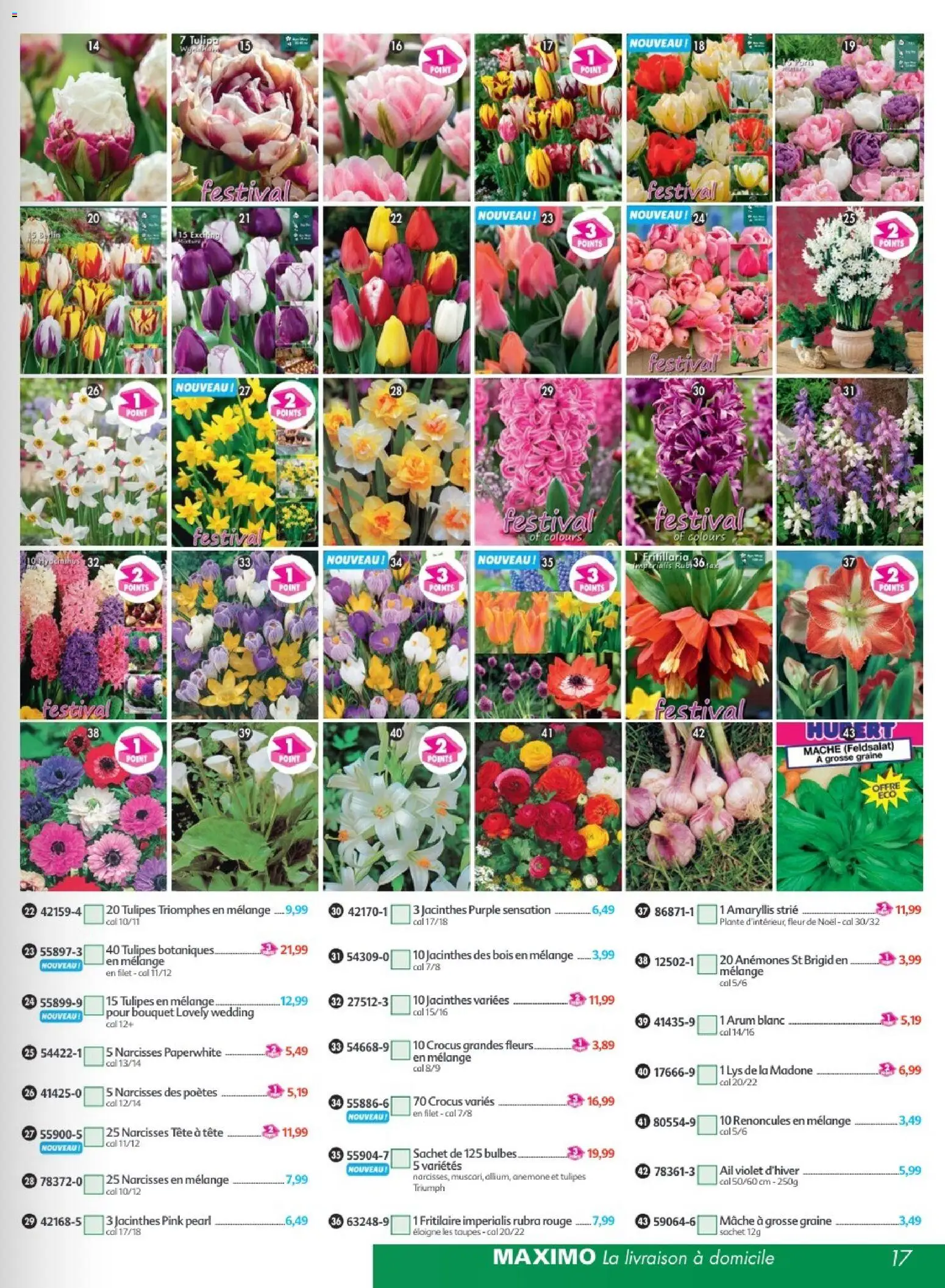 {H1} | Page: 17 | Produits: Fleurs, Ail, Amaryllis, Tulipes