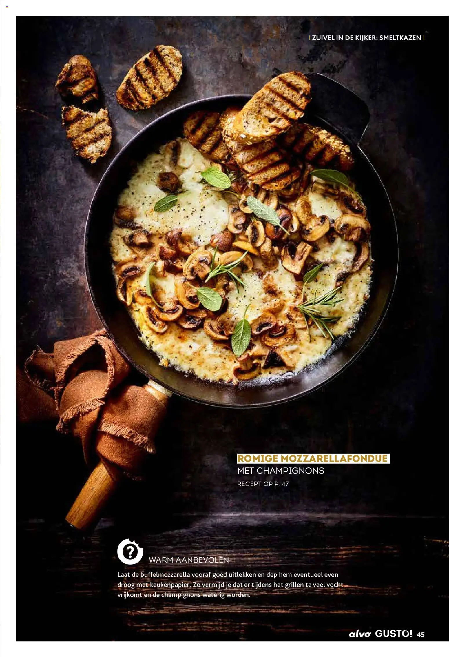 {H1} | Pagina: 45 | Producten: Zuivel, Champignons