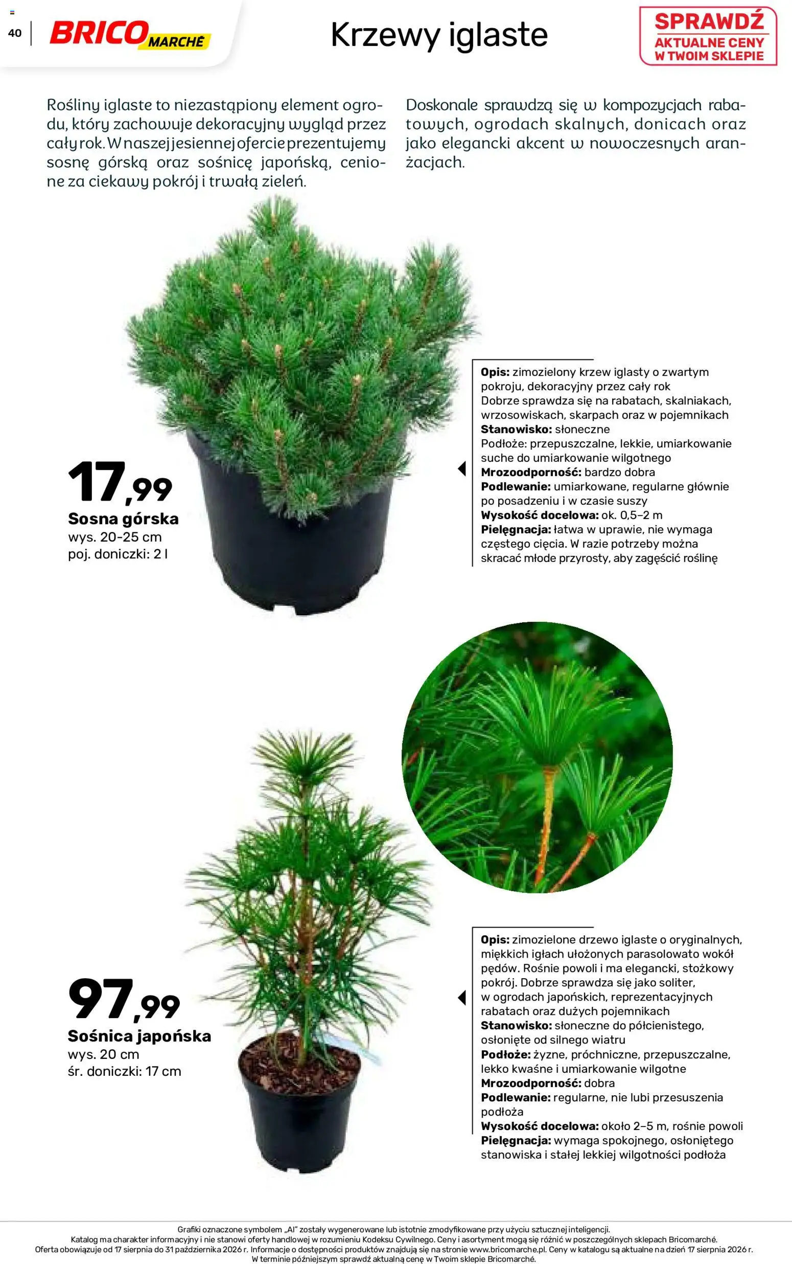 Brico Marché gazetka - Jesienne Inspiracje od 17.08.2026 | Strona: 40 | Produkty: Podłoże, Rosliny, Doniczki