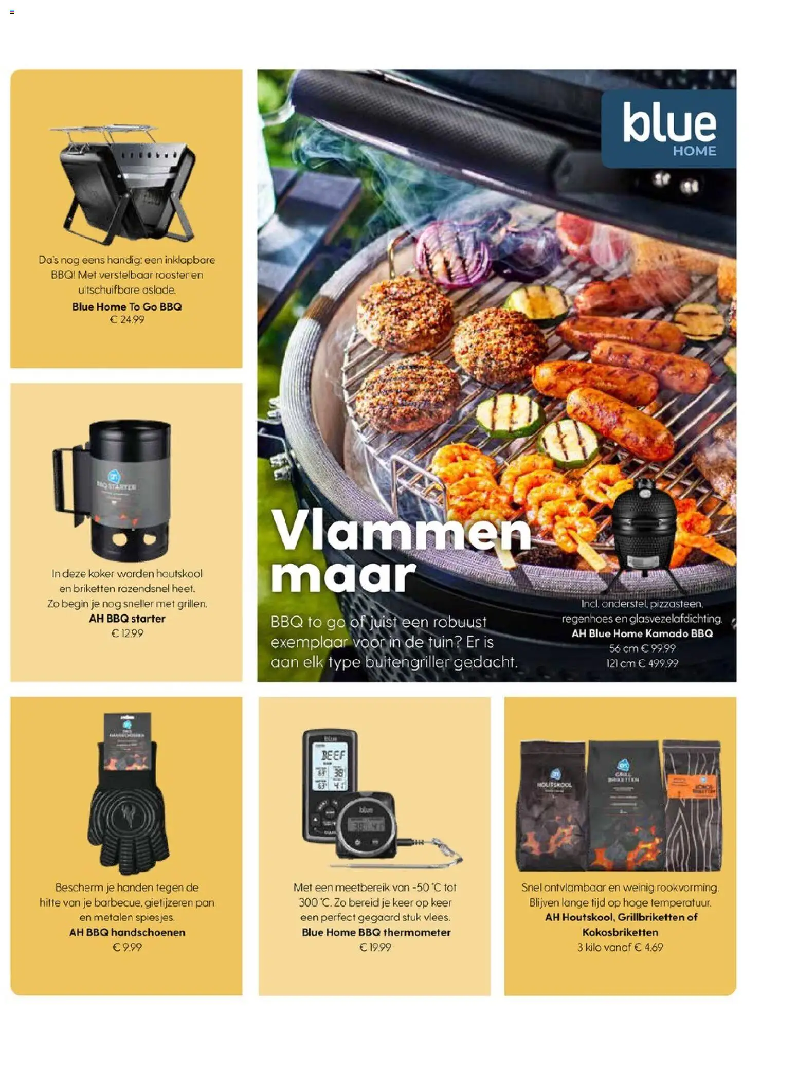 {H1} | Pagina: 91 | Producten: Pan, Gietijzeren pan, Briketten, Thermometer