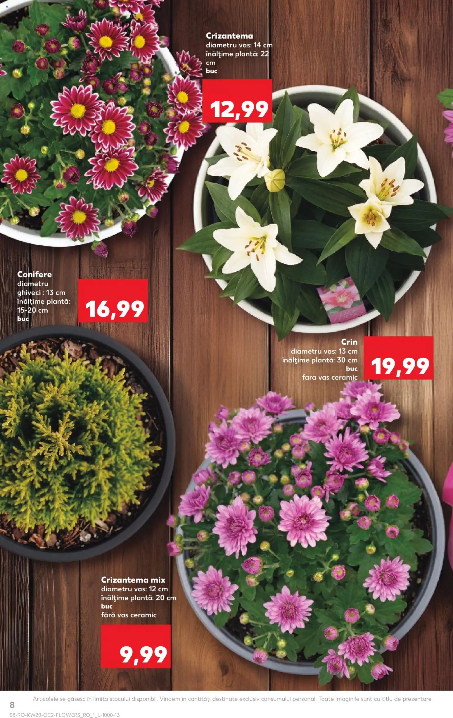 Noul catalog Kaufland – valabil de la 13.05.2026 | Pagină: 8 | Produse: Ghiveci