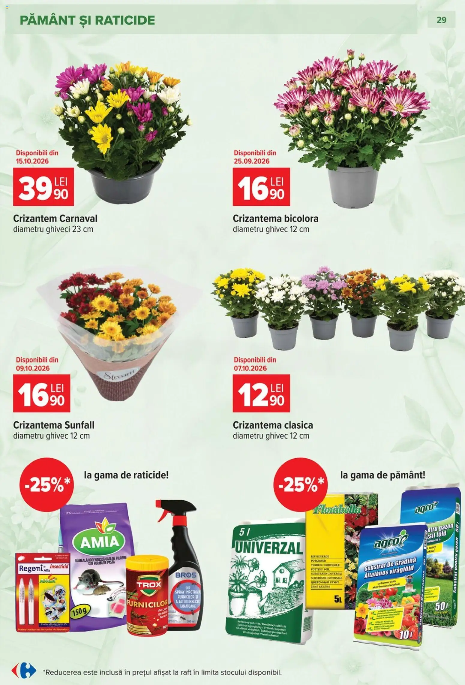 Noul catalog Carrefour – valabil de la 23.09.2026 | Pagină: 29 | Produse: Gradina, Raft, Ghiveci, Flori