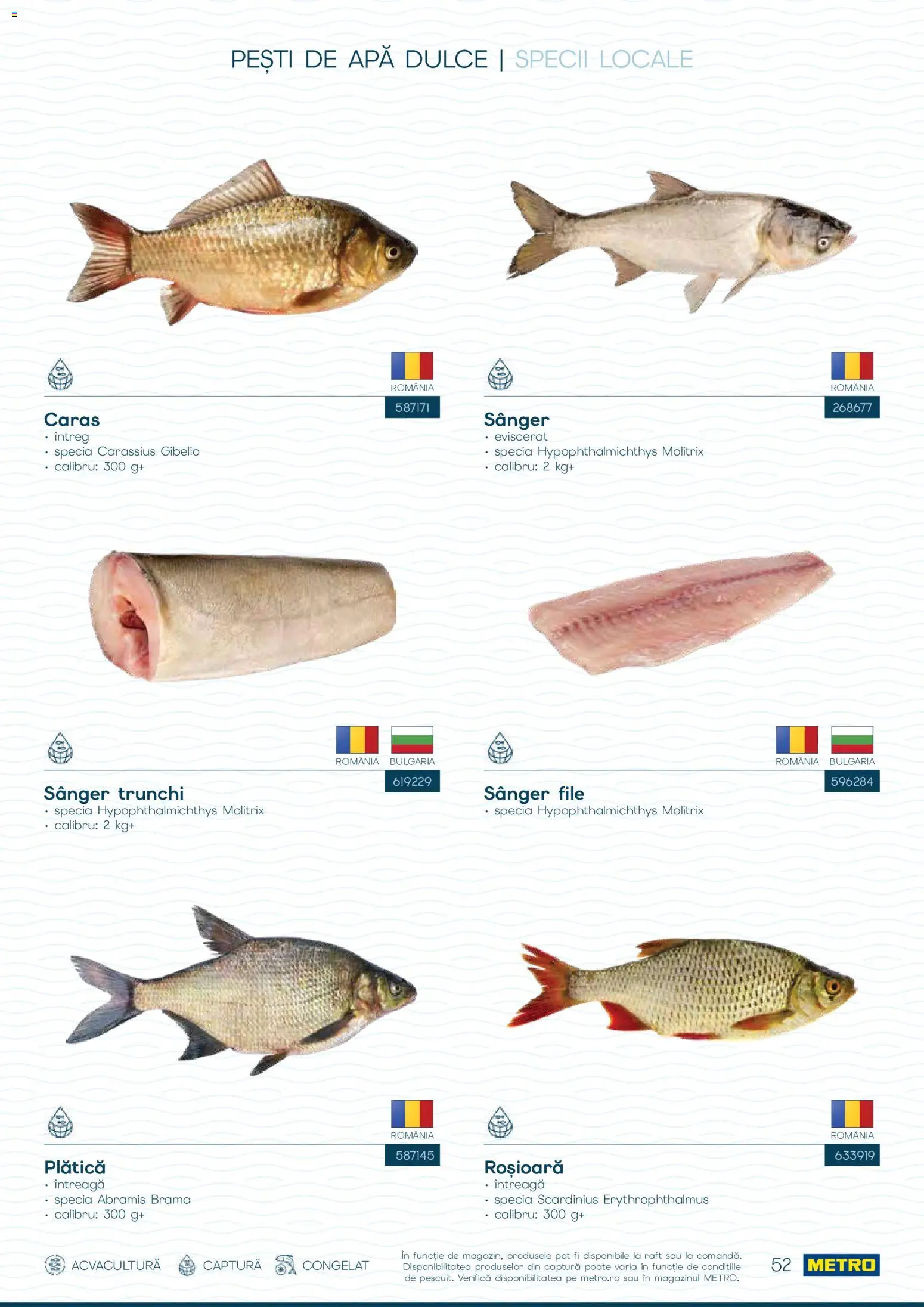 Noul catalog Metro – valabil de la 01.10.2026 | Pagină: 52 | Produse: Raft, Trunchi, Apă