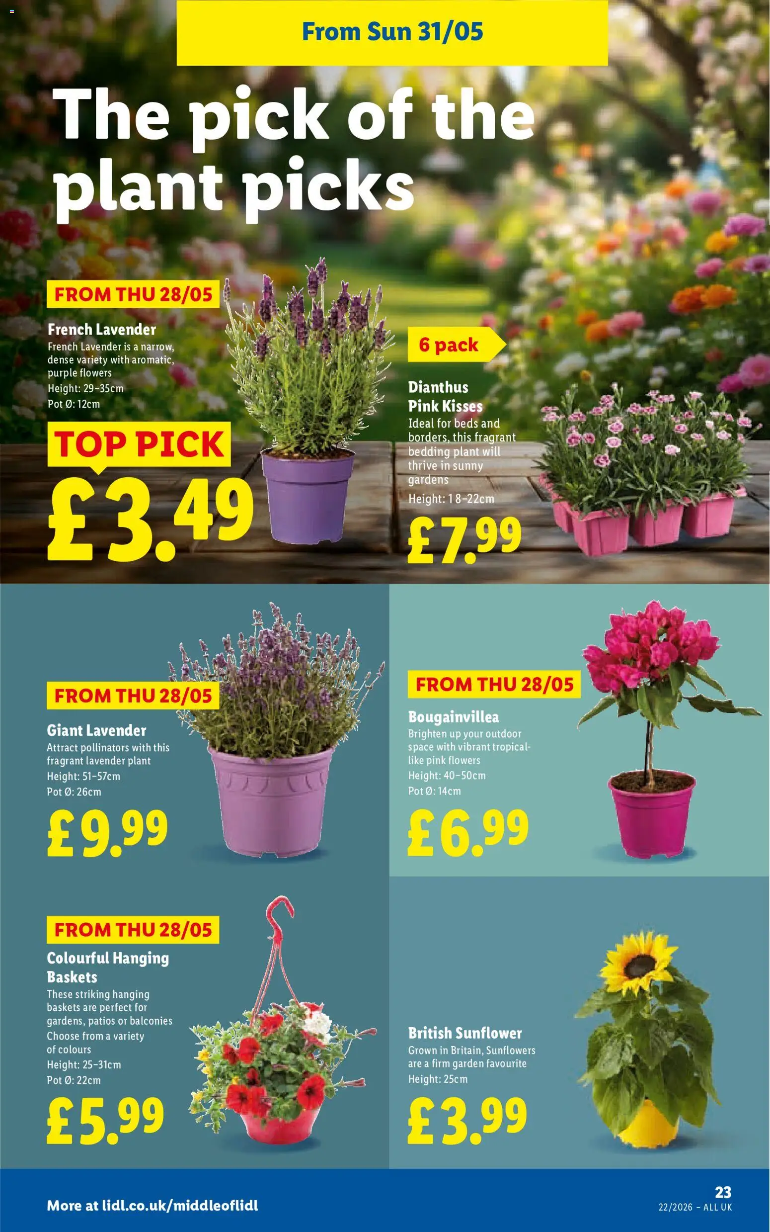 {H1} | Page: 23 | Products: Pot, Lavender