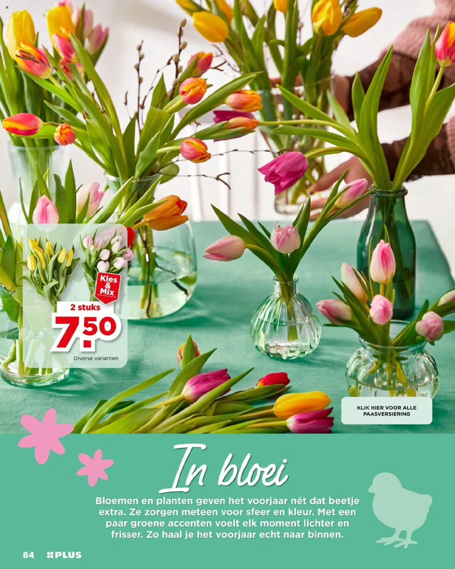 {H1} | Pagina: 84 | Producten: Bloemen