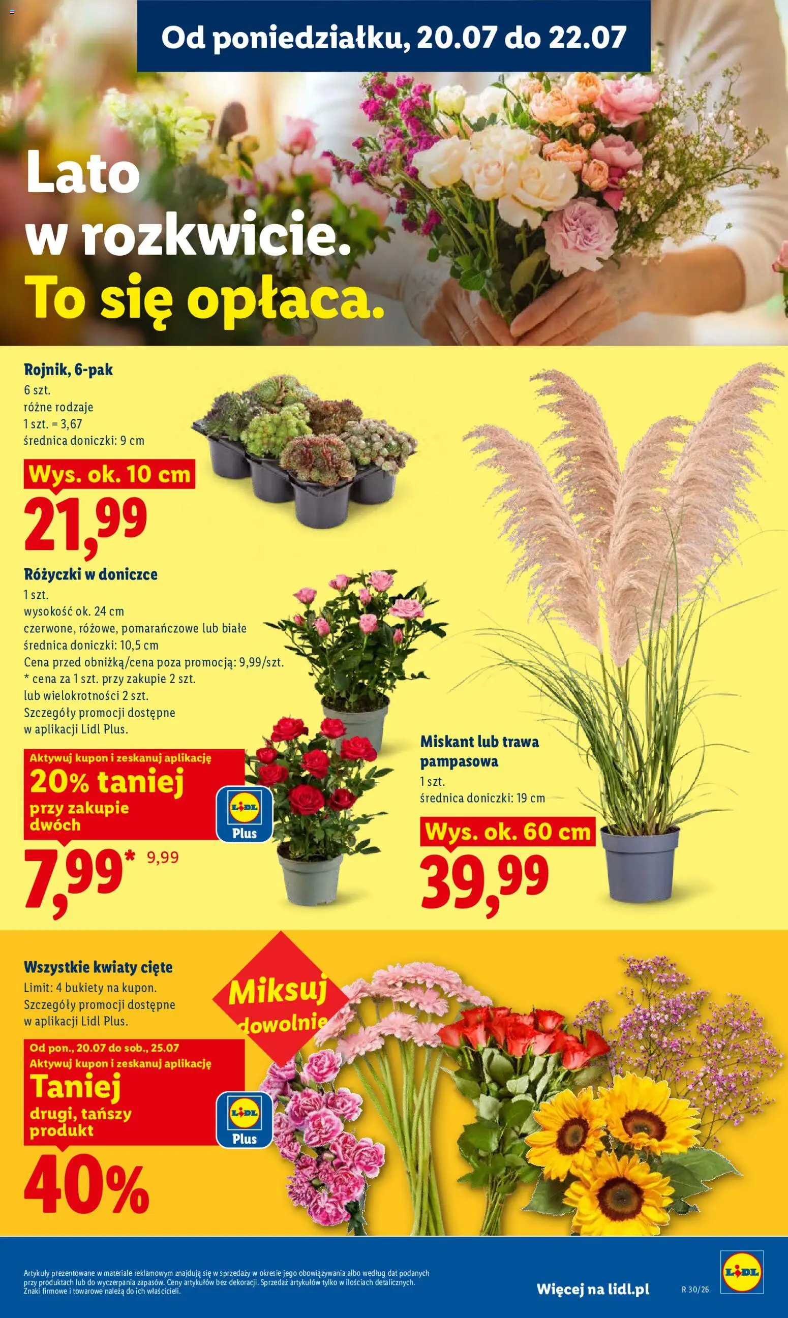 Lidl gazetka od 20.07.2026 | Strona: 99 | Produkty: Kwiaty cięte, Doniczki, Trawa pampasowa, Kwiaty