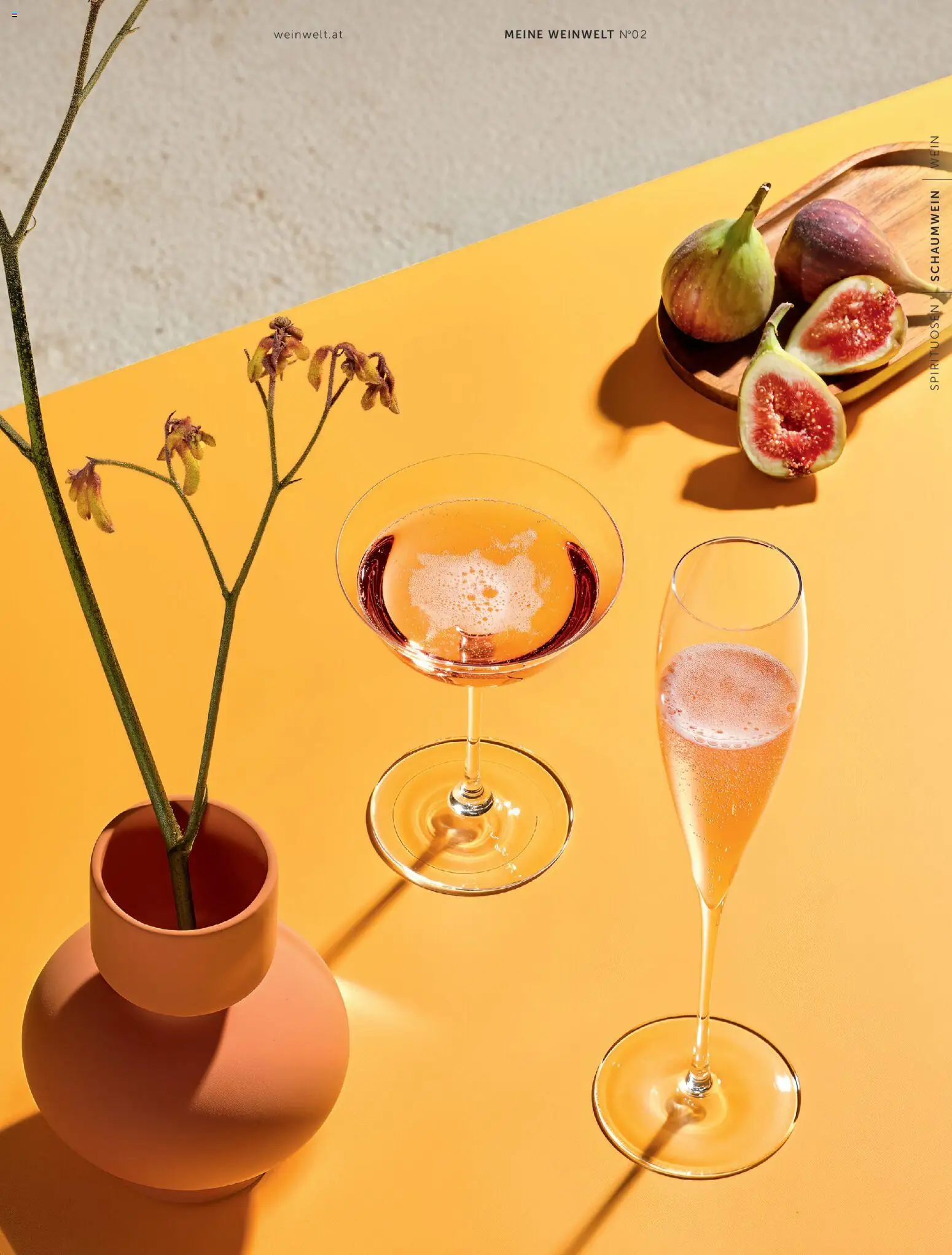 Interspar Meine Weinwelt Sommer 2026 gültig ab 11.06.2026 | Seite: 43 | Produkte: Wein